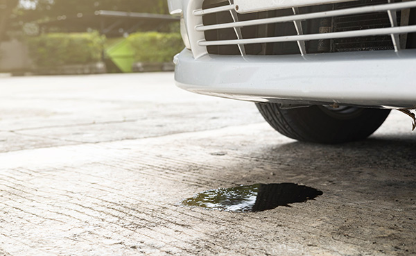 Why Is A Small Engine Oil Leak Always Worth Fixing Right Away?